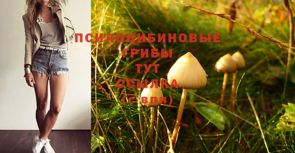 гидропоника Михайлов
