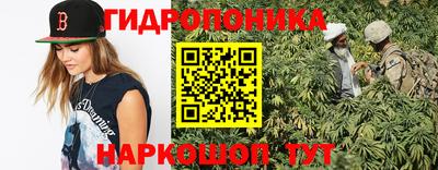 гидра Заволжье