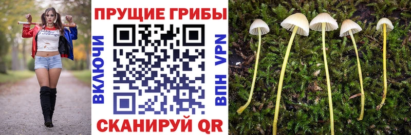 ОМГ ОМГ онион  Магадан  Галлюциногенные грибы прущие грибы 